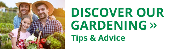 Get our latest gardening tips