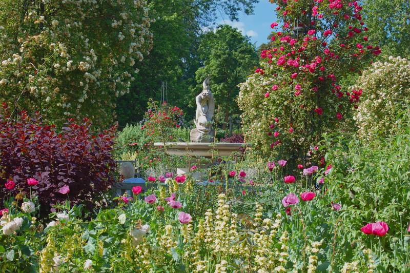 Rose Garden at Hyde Park[1]