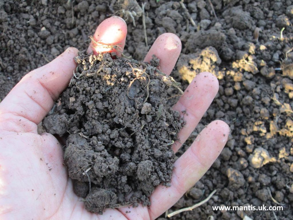benefits of gardening contact with soil improves mood