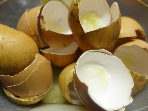 eggshell good nutrient for the soil and free